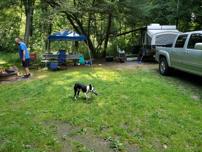 Allegheny National Forest, Buckaloons State Park