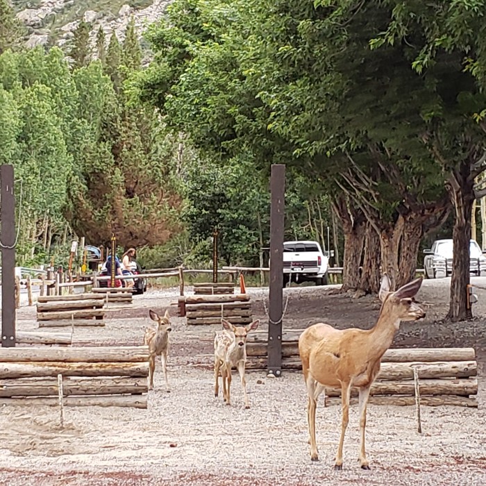 Silver Lake RV Park