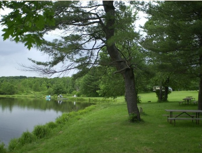 Cooperstown Beaver Valley Cabins & Campsites