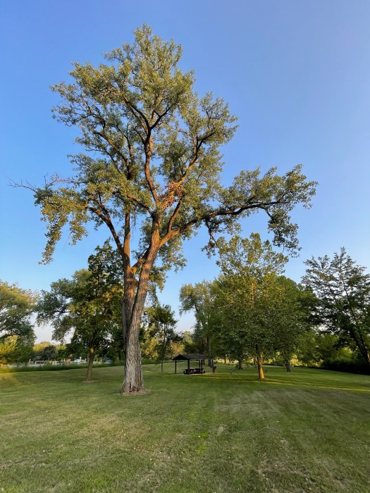 Louisville State Recreation Area