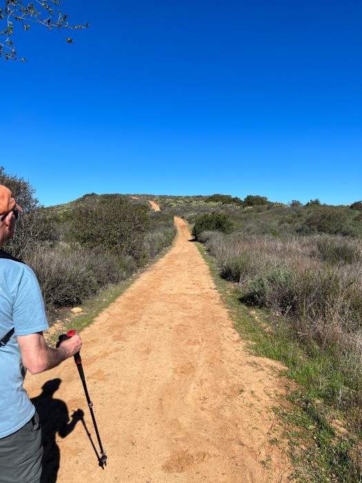Ronald W. Caspers Wilderness Park – Live Oak Campground