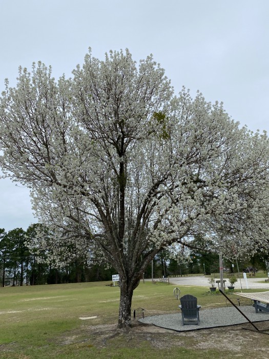 Aiken RV Park LLC
