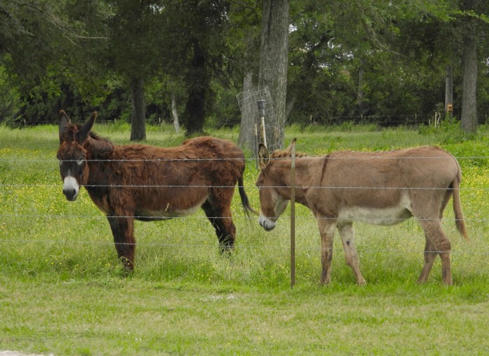 Shiloh RV Park