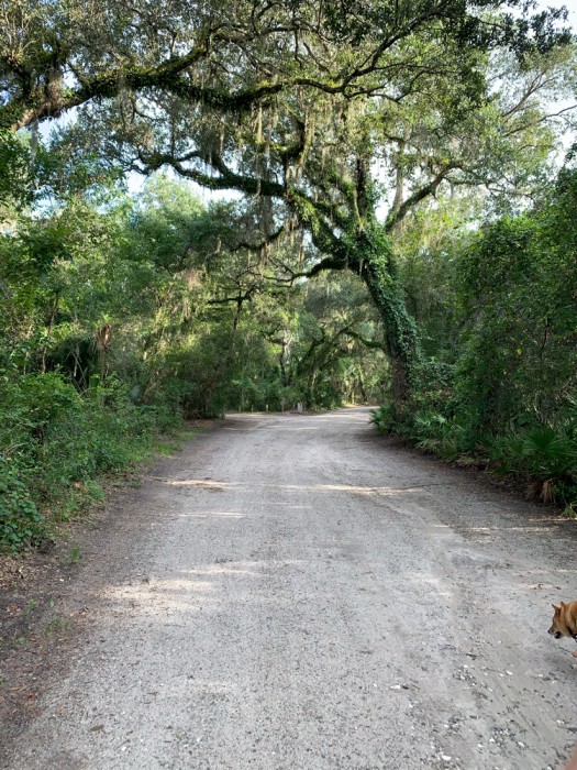Lake Griffin State Park Campground