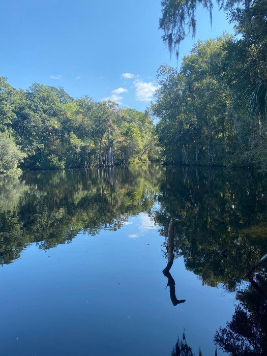 Chassahowitzka River Campground