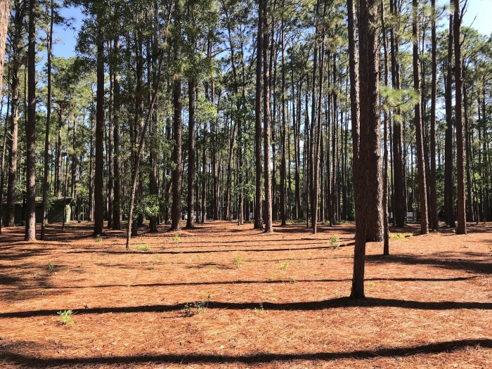 Aiken State Park