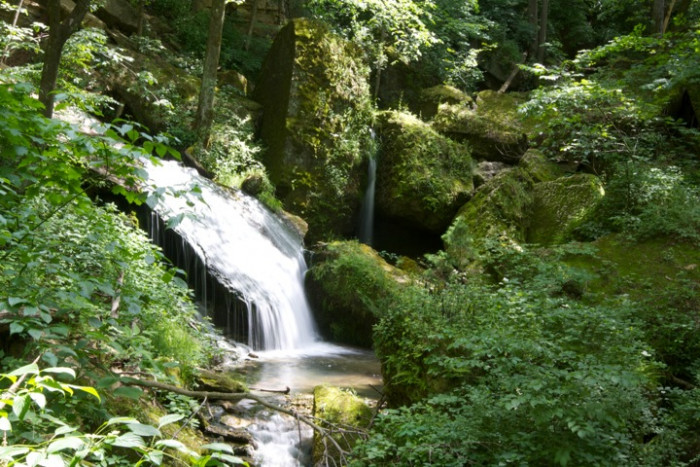 Bailey’s Ford Park