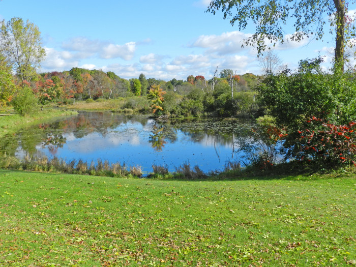 Ham Lake Resort