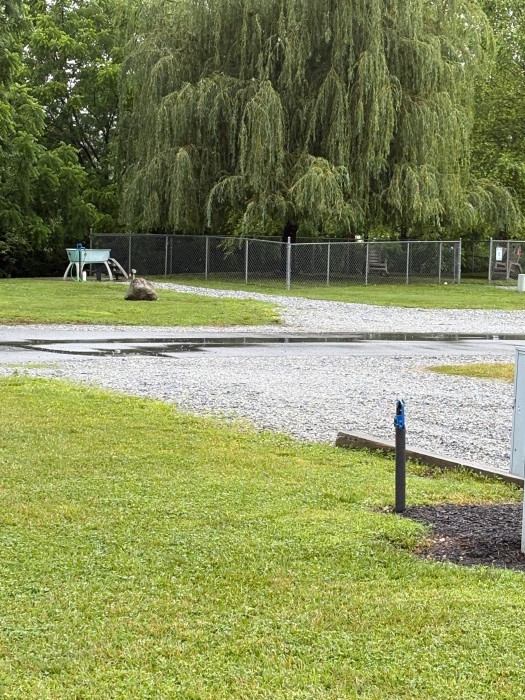 Spring Villa Park