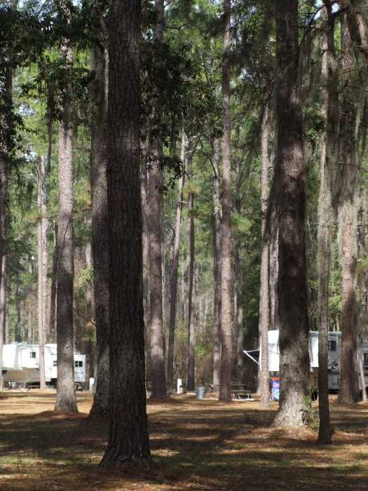Chehaw Park Campground
