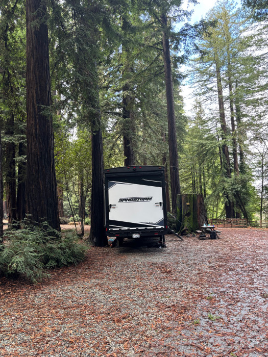 Santa Cruz Redwoods RV Resort