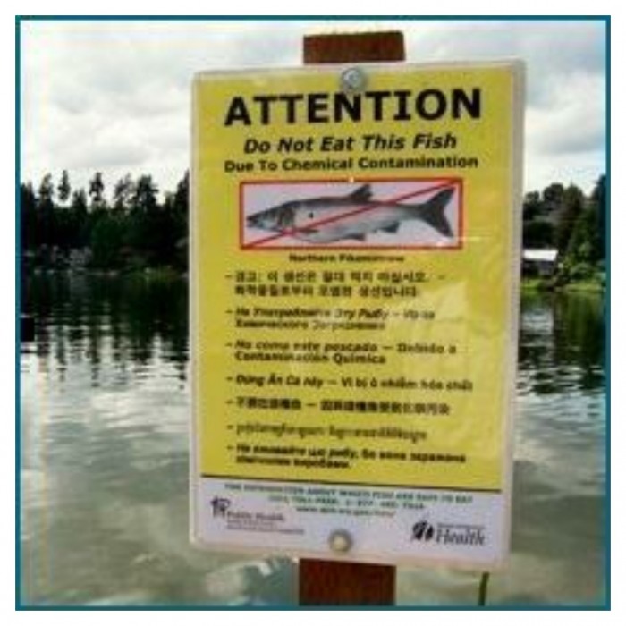 Lake Henshaw Resort