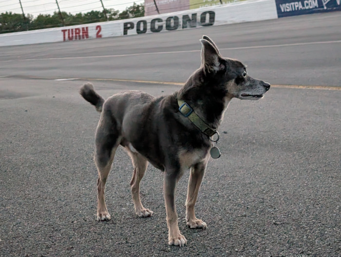 Pocono Raceway Seasonal Campground