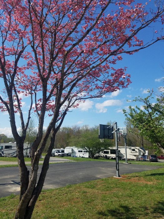 Dad’s Bluegrass Music RV Park