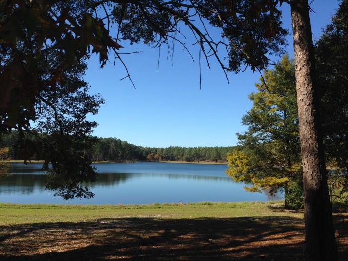 Open Pond Recreation Area