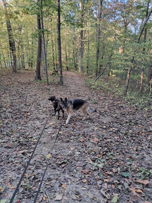Rockville Lake Park