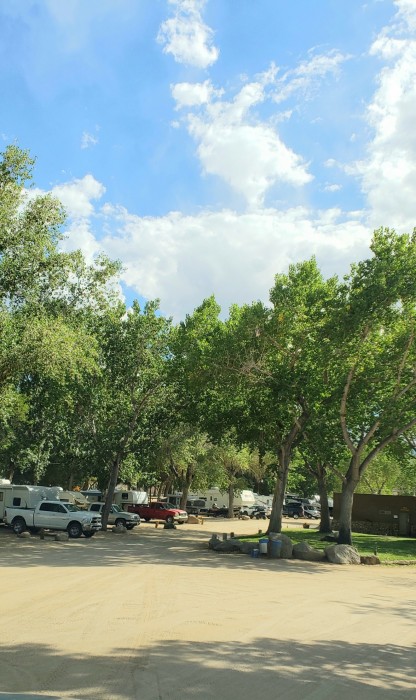 Brown’s Millpond Campground