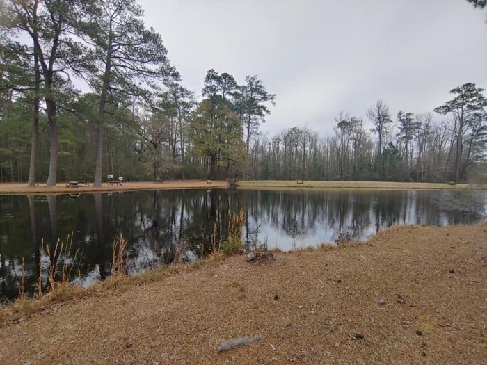 Lee State Park