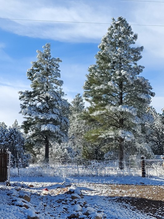 Heber RV Resort LLC