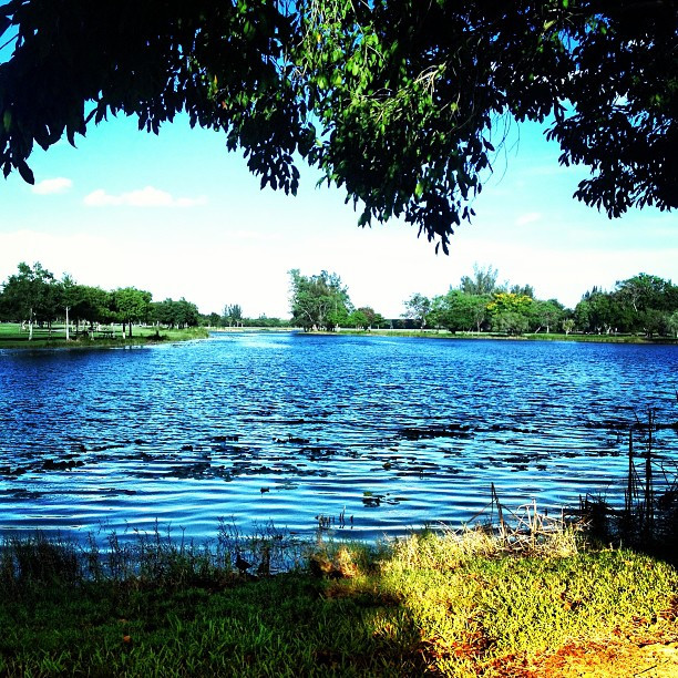 Markham Park