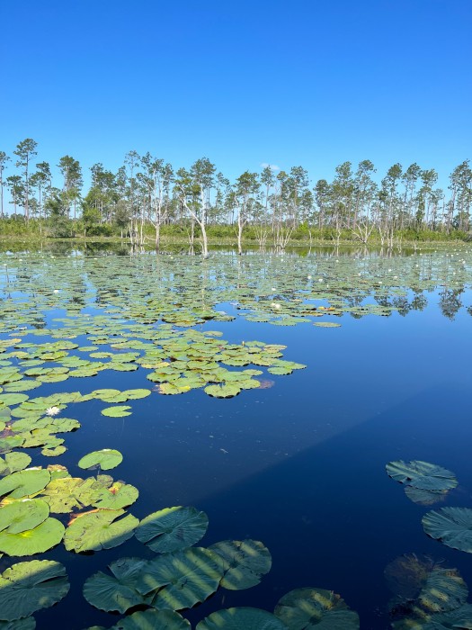 Seminole State Park