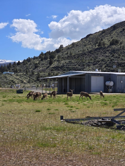 Sunrise Motel and RV Park