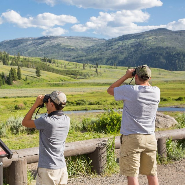 Pebble Creek Campground