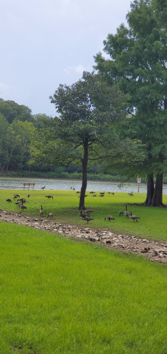 People’s Creek Campground