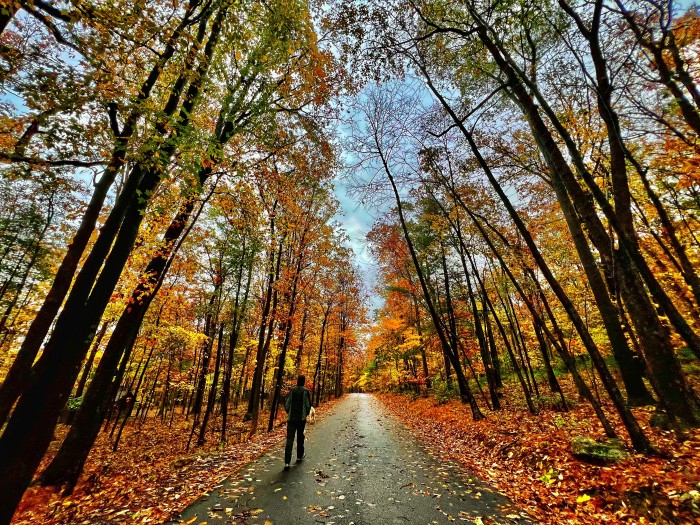 Cowans Gap State Park