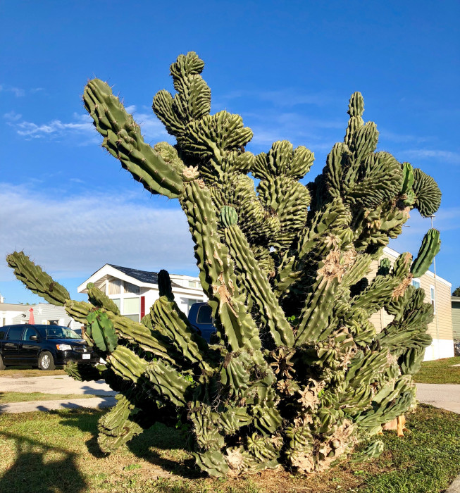Lake Wales RV and Campsite