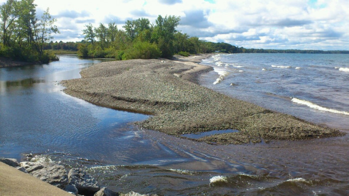 Selkirk Shores State Park