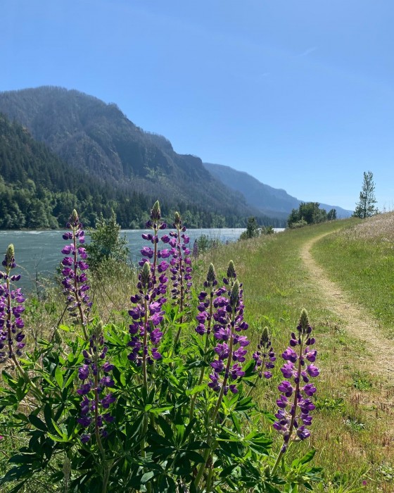 Lewis & Clark Campground & RV Park