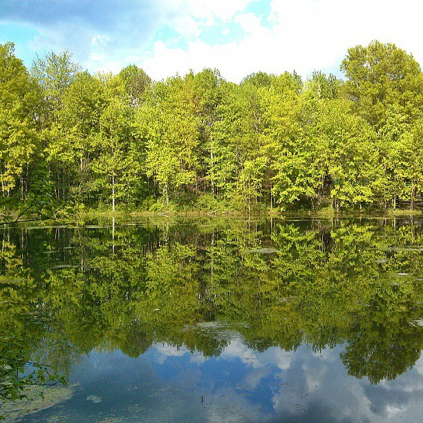 Hawthorn County Park