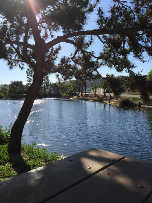 Champagne Lakes RV Resort