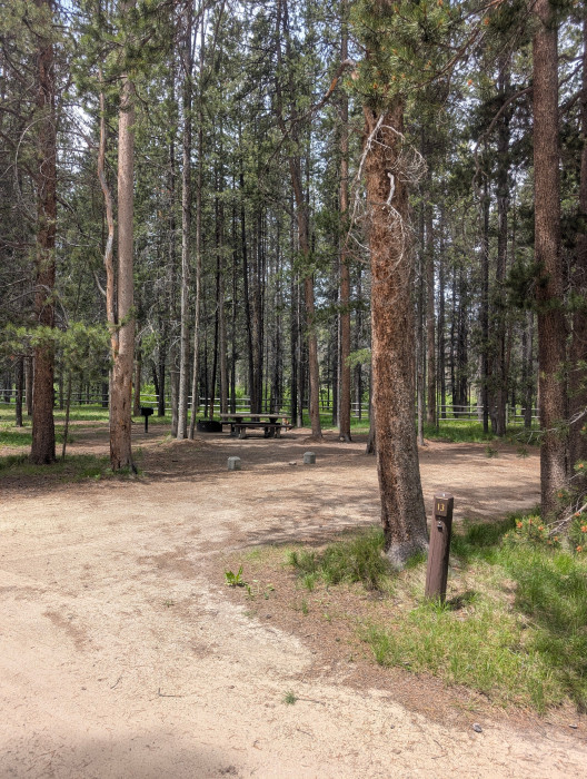 May Creek Campground  Beaverhead Natl. Forest