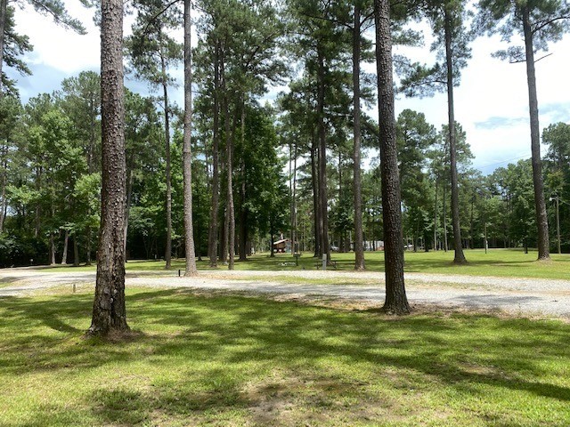 Dry Creek Water Park