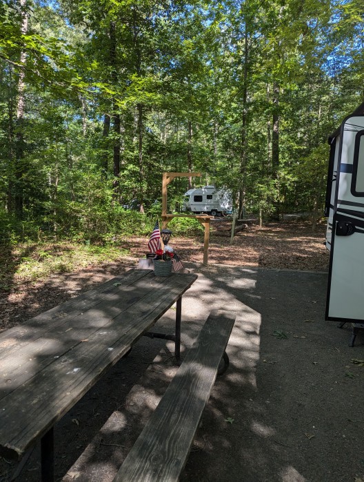 Cedarville State Forest Campground
