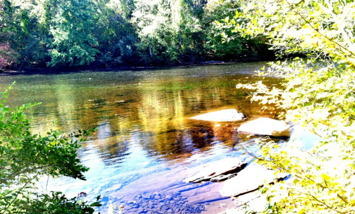 Salt Rock State Campground