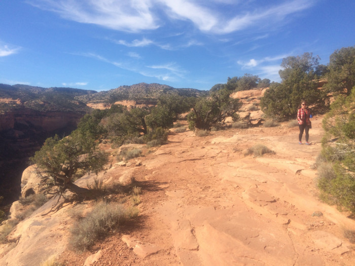 Colorado National Monument, Saddlehorn Campground