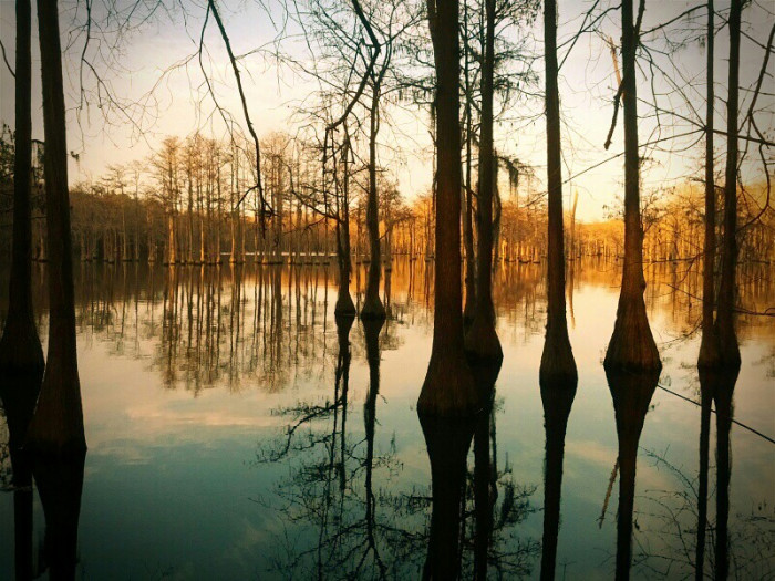 George L. Smith State Park