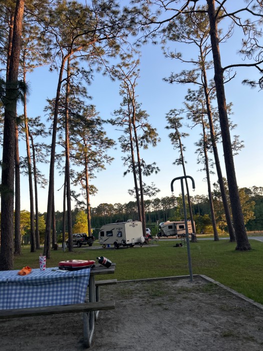 Laura S. Walker State Park