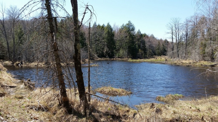 Porcupine Mountain Wilderness State Park