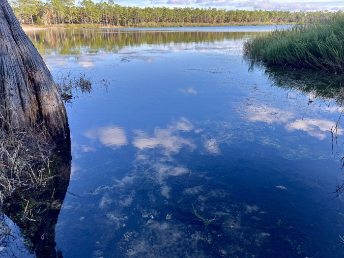 Camel Lake Recreation Area Apalachicola National Forest