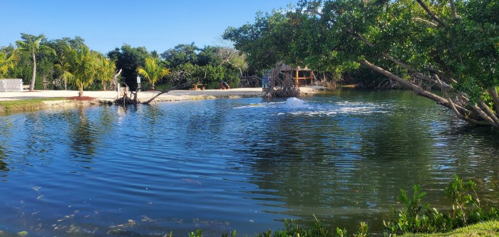 Leo’s Key West Campground