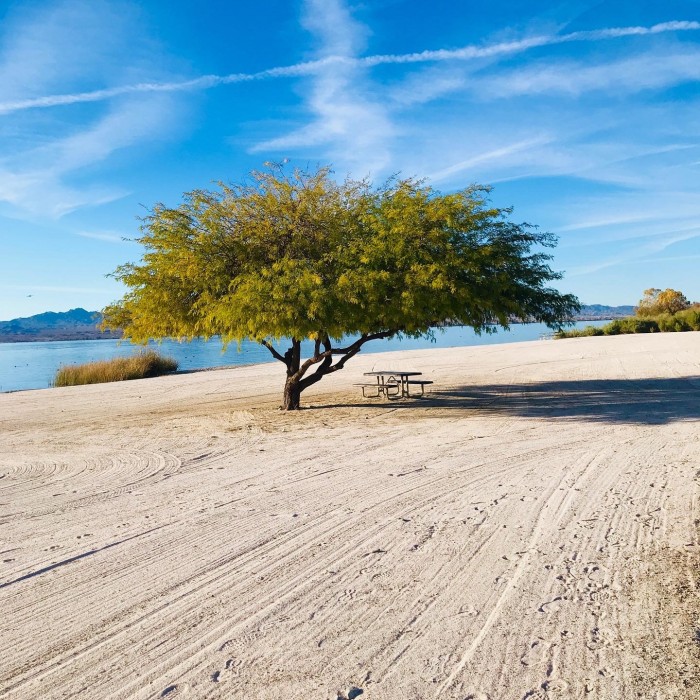 Lake Havasu State Park Campground