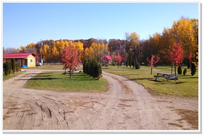 Sheyenne Oaks