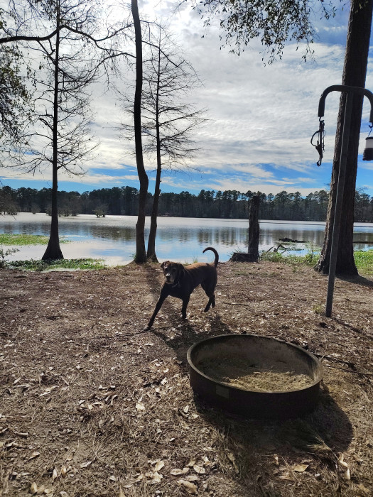 Sandy Creek