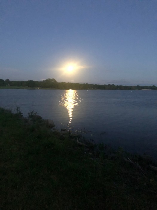 Lake Miola Lower Campground