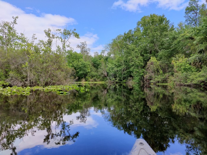 Alexander Springs Recreation Area